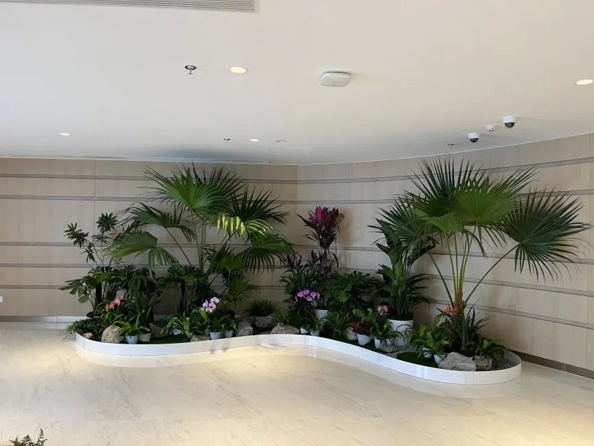 鄞州植物租摆哪家好